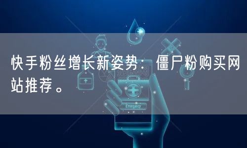 快手粉丝增长新姿势:僵尸粉购买网站推荐。