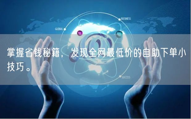 掌握省钱秘籍,发现全网最低价的自助下单小技巧。