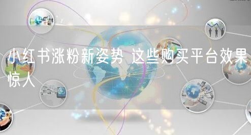 小红书涨粉新姿势 这些购买平台效果惊人
