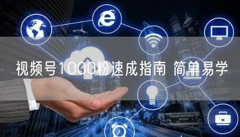 视频号1000粉速成指南 简单易学
