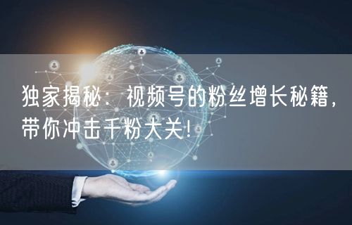 独家揭秘：视频号的粉丝增长秘籍，带你冲击千粉大关！
